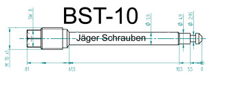 Titan (Ti6Al4V) - Bremsbelagstift Sonderfarben